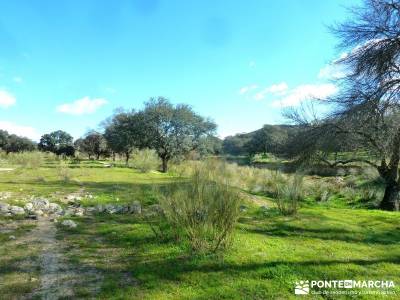 Cárcavas del Río Perales - Sierra Oeste de Madrid; rutas por madrid; viaje noviembre